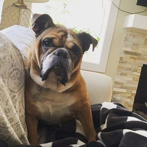 Meet your Posher, Ashlee